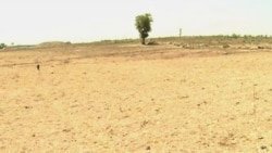 Des communautés rurales camerounaises luttent pour leurs terres ancestrales