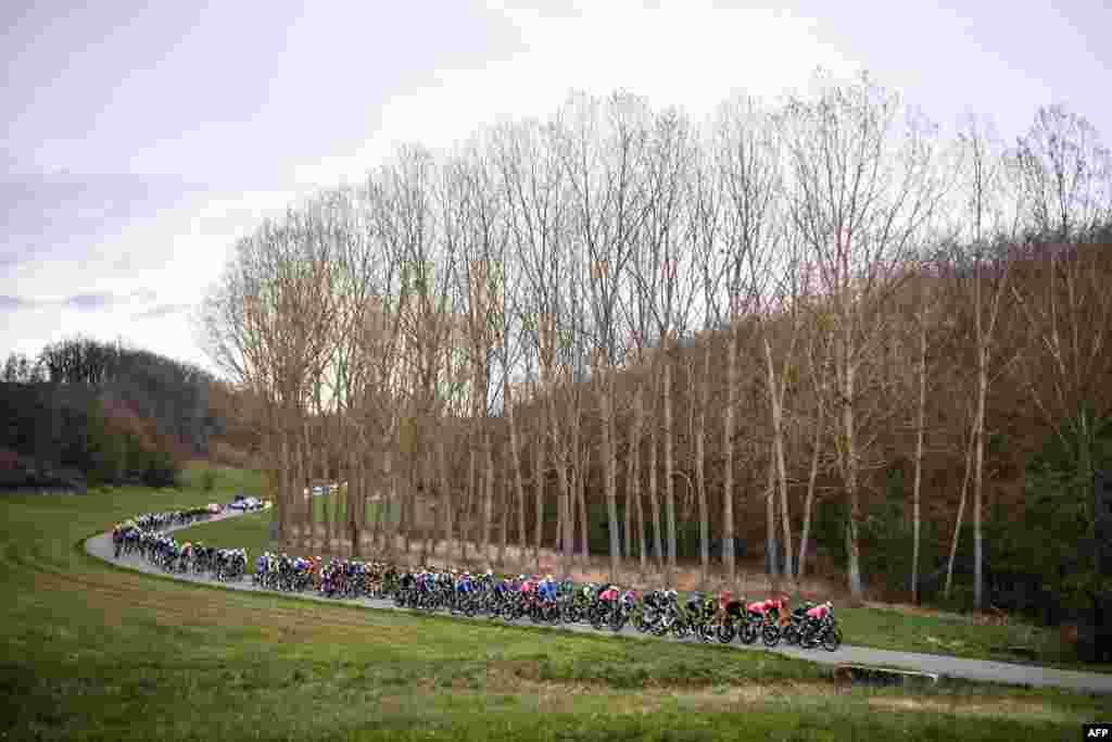 The pack rides during the 5th stage of the 79th Paris to Nice cycling race, a 200-kilometer stretch between Vienne and Bollene, France.