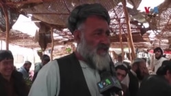 په چمن سرحدي ښارګوټي کې د سبزیانو بېعې کمې شوي