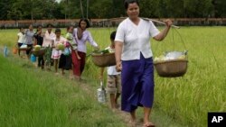 Femmes et enfants dans les rizières de Prey Thom, dans la province de Takeo, au Cambodge, le 6 novembre 2011.