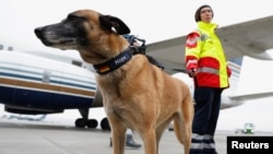 A search and rescue dog and a rescuer of International Search and Rescue (ISAR) Germany stand as they arrive to Gaziantep to help find survivors of the deadly earthquake in Turkey, at Gaziantep Airport, Turkey, Feb. 7, 2023.