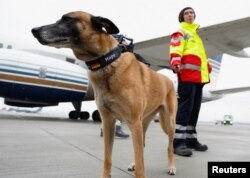 Un perro de búsqueda y rescate y un rescatista de International Search and Rescue (ISAR) Alemania se paran cuando llegan a Gaziantep para ayudar a encontrar sobrevivientes del mortal terremoto en Turquía, en el aeropuerto de Gaziantep, Turquía, el 7 de febrero de 2023. REUTERS/Piroschka van de Guau