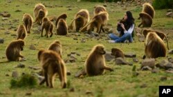 Makudo anonzi anetsawo mumisha yeVictoria Falls