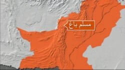 بي بي شیرینه – وي او اې ډيوه په ټیلې ویژن