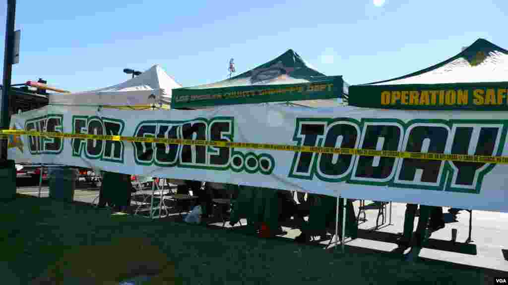 礼物换枪支，今天就行动（美国之音国符拍摄)