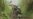 UN: Congo Army Still Undisciplined