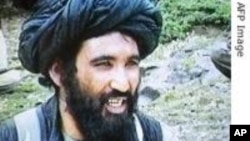 Taliban Leader Captured