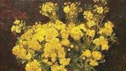 موزه قاهره بدون گلهای خشخاش