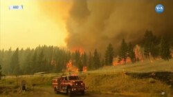 Amerika’da Orman Yangınları Etkisini Arttırıyor