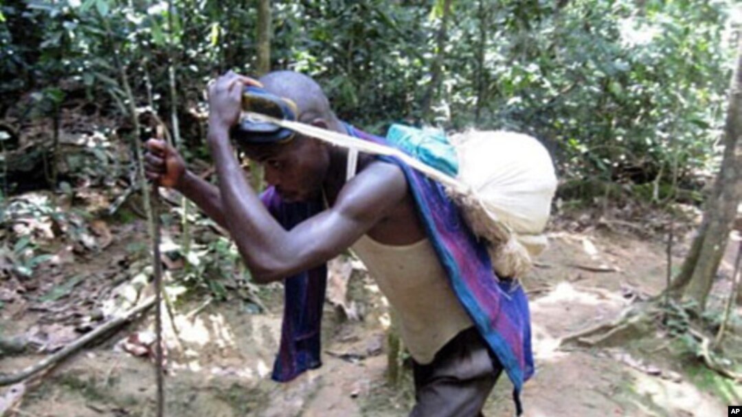 A Congolese man carries a load of mineral chips harvested from inside a deep cassiterite mine located west of the eastern Congolese town of Goma in the north Kivu region (File 2010)