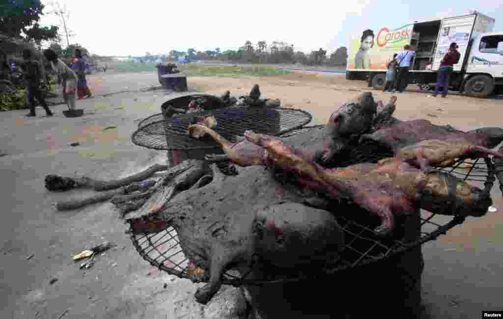 De la viande de brousse en train d&rsquo;être séchée près d&#39;une route de l&#39;autoroute Yamoussoukro le long de laquelle des passants marchent, le &nbsp;29 mars 2014. REUTERS / Thierry Gouégnon. 