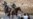 Rights Groups Say US Has Long History of Mistreating Haitian Migrants