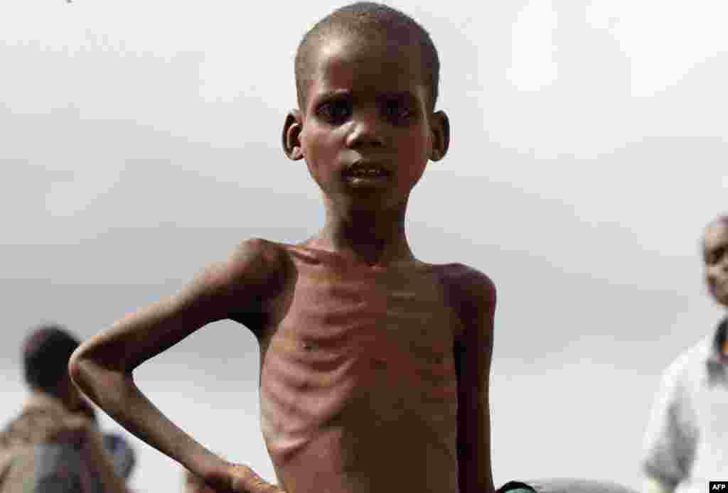 August 11: A Somali displaced boy stands near a food distribution centre in Hodan district south of capital Mogadishu. REUTERS/Feisal Omar