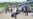 Thai PM Halts Migrant Labor Law After Protests