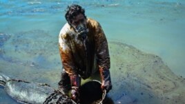 A man scoops leaked oil from the vessel MV Wakashio, belonging to a Japanese company but Panamanian-flagged, that ran aground near Blue Bay Marine Park off the coast of southeast Mauritius, Aug. 8, 2020.