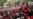 Zimbabwe's Opposition Marches in Capital, Seeking Fair Vote