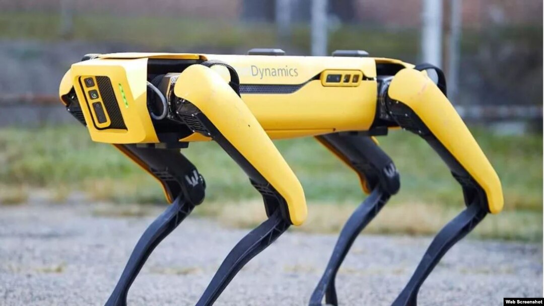 Robot anjing berkaki empat (foto: ilustrasi).