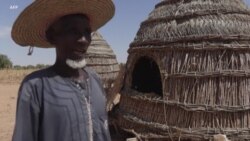 Le Niger menacé d'une crise alimentaire