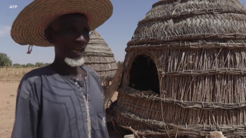 Le Niger menacé d'une crise alimentaire