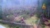 Italian Storms Claim 17th Life, 14 Million Trees 