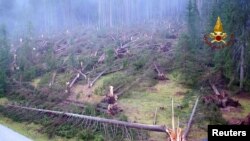 Storm-toppled trees are seen on a mountain near Belluno, Italy, Nov. 3, 2018. 