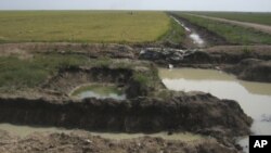 A system of strip dams cuts into grasslands next to paddy fields in Kampong Thom province.