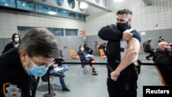 FILE - A member of the New York Police Department rolls up his sleeve before receiving a dose of the Moderna COVID-19 vaccination at Queens Police Academy in the Queens borough of New York, Jan. 11, 2021. 