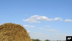 همکاری ایالات متحده به سکتور زراعتی افغانستان