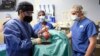 Doctors Successfully Transplant Pig Heart into Human Patient