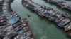 菲律宾指控中国使用氰化物非法捕鱼