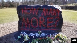 Bunga-bunga di The Rock di Universitas Negara Bagian Michigan, Selasa, 14 Februari 2023, di East Lansing, Michigan untuk mengenang korban penembakan. (Foto: AP)