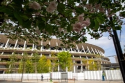 Cherry blossom flowers bloom outside the Japan National Stadium, where opening and closing ceremonies and other events for Tokyo 2020 Olympics will be held, as a guard stands along the fence Tuesday, April 6, 2021, in Tokyo. (AP Photo/Kiichiro Sato)