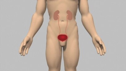 Le Diabete L Epidemie Silencieuse