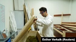 Bob Hendrikx, inovator peti mati yang terbuat dari miselium, Delft, Belanda, 21 September 2020. (Foto: REUTERS/Esther Verkaik)