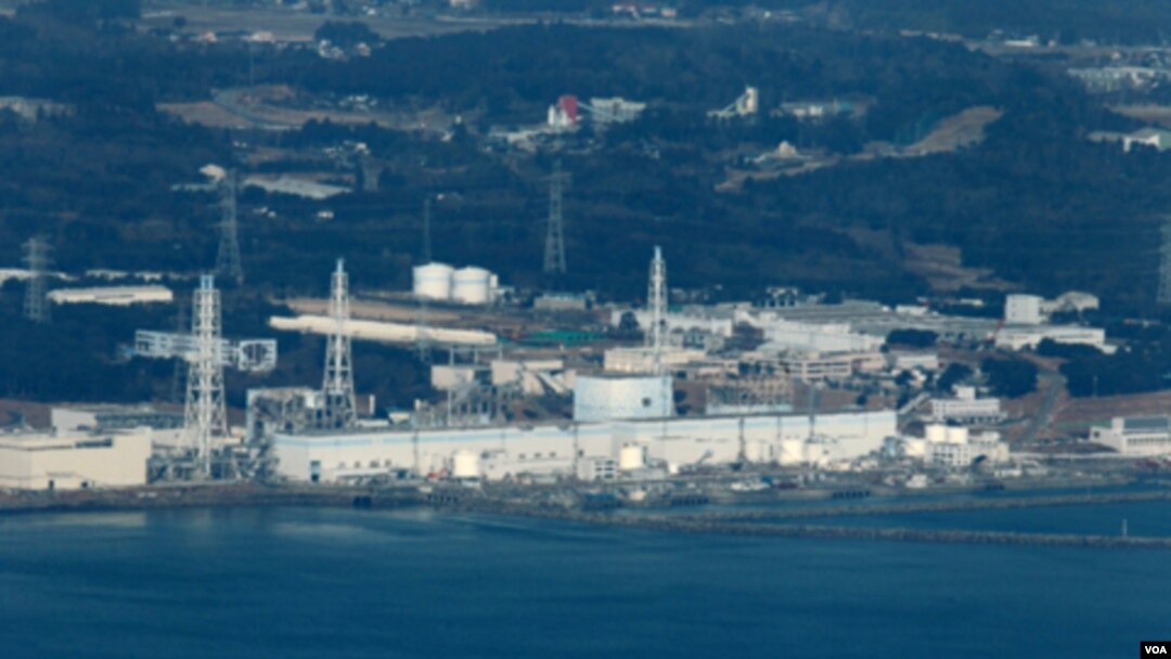 Pakar industri perikanan Jepang mengatakan belum ada ancaman langsung radiasi dari hasil laut.