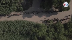 Entrevistas inmigrantes venezolanos