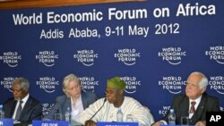 Former Nigerian President Olusegun Obasanjo (2nd R) addresses a session alongside Kofi Annan (L), chairman of Alliance for a Green Revolution, Irish rock star Bob Geldof (2nd L) and Peter Eigen, a member of the Africa Progress Panel (APP), during the Worl