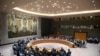 UN Security Council Issues Call for Stability, Elections in Guinea Bissau