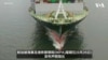 台湾长荣海运“长丽轮”   霍尔木兹海峡遇袭后安全驶离