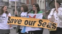 ЄС планує реформувати рибну галузь