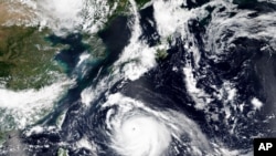 4일 일본 남단에서 북상 중인 태풍 하이선의 위성 사진.