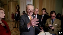 Senate Democratic Minority Leader Chuck Schumer speaks with reporters on Capitol Hill in Washington, March 28, 2017.