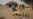 Food Insecurity a Serious Problem in Sahel