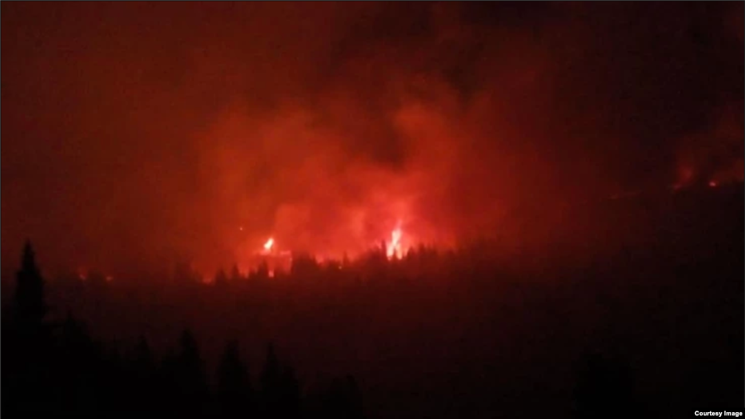 Požar na Staroj planini (Foto: Odbranimo reke Stare planine)