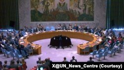 شورای امنیت سازمان ملل متحد