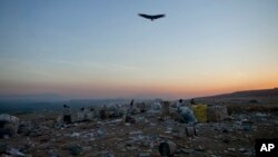 FILE - A vulture flies over now closed Jardim Gramacho landfill in Rio de Janeiro, Brazil, May 29, 2012. Aiming to slash its climate-changing emissions, the city is initially focusing on extracting methane gas from trash.