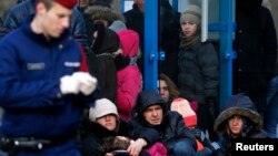 Mađarska policija sa kosovskim azilnatima koji se ilegalno prešli mađarsko - autrijsku granicu