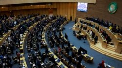 Udaba lomhlangano wamaphalamende aweAfrica siluphiwa nguMavis Gama