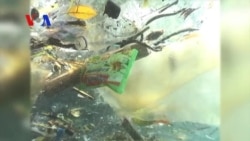 The 'Great Pacific Garbage Patch' (On Assignment)