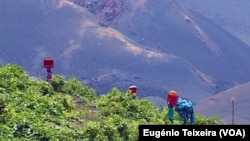 Vinhas, Fogo, Cabo Verde